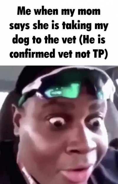 Me when my mom takes my doc to the vet (He is confirmed vet not TP)