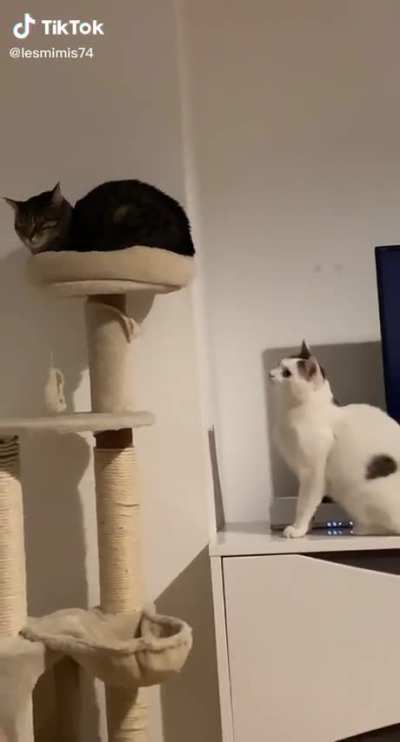 Probably my favorite one