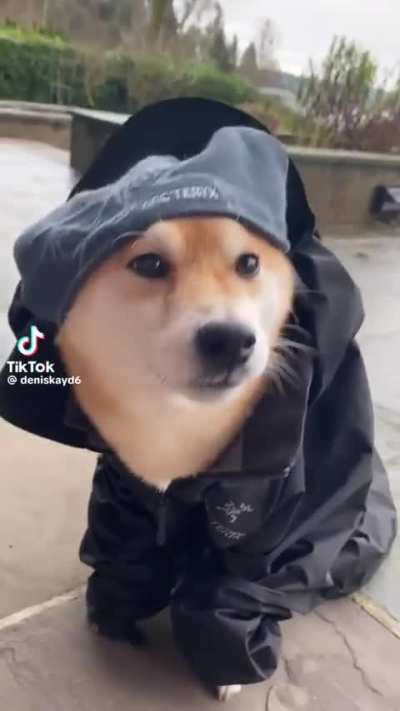  wenenerntnrenenenenneux