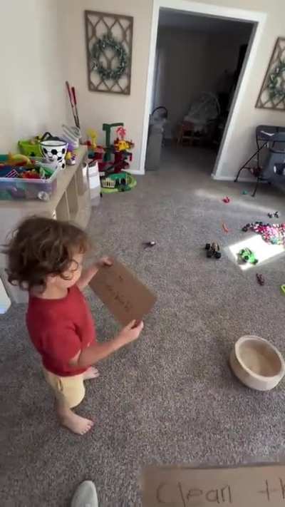 Go to Disneyland or clean the windows?