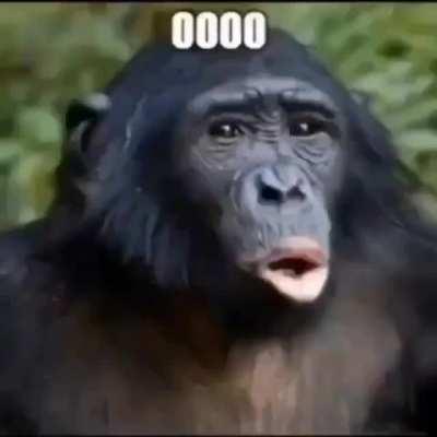 Elm despues de una penta.