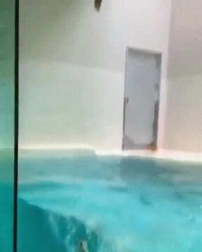 This Otter Can Jump!