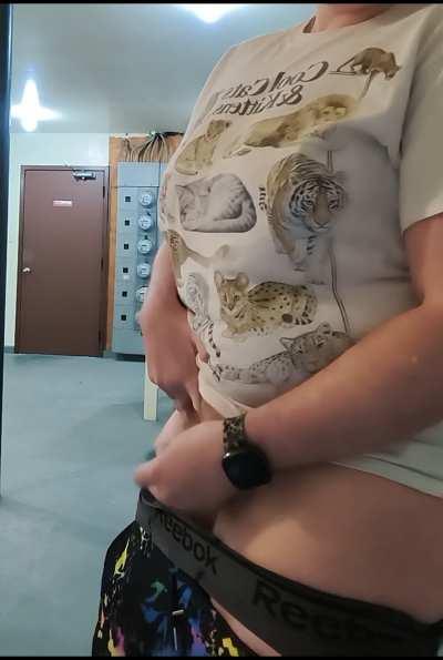 Vibing my cock in my apartment building laundry room 