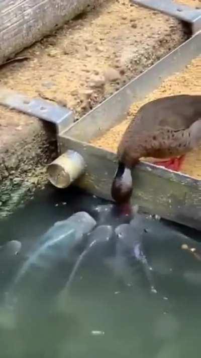 In a world where you can be anything, be kind.