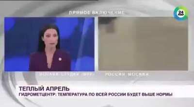 Doggo steals reporter’s mic, cameraman follows the action