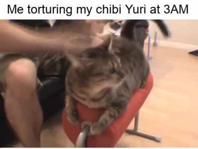 My chibiyuri seems enjoyed getting hit