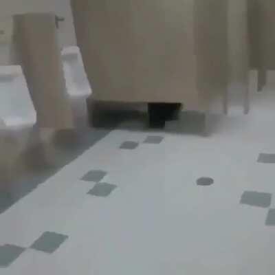 Accurate depiction of when lactose intolerant people drink milk