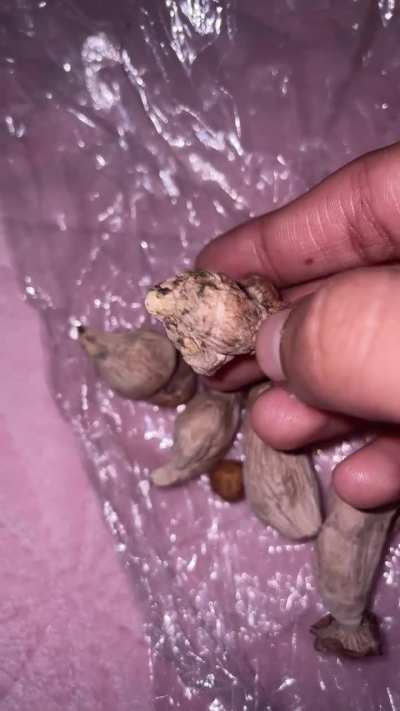 Are these bad already??