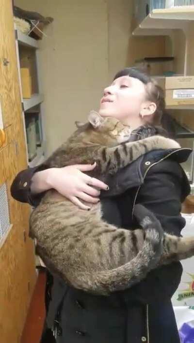 Woman Gives Cat Hug, And Snuggly And The Cat Refuses To Let Go