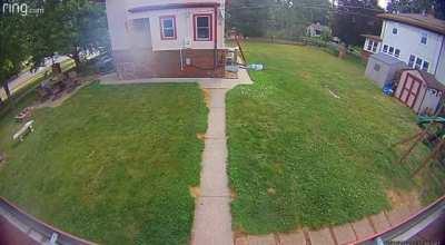 Burglar knocks himself out falling off a gutter spout