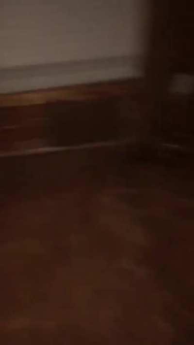 the man in your walls