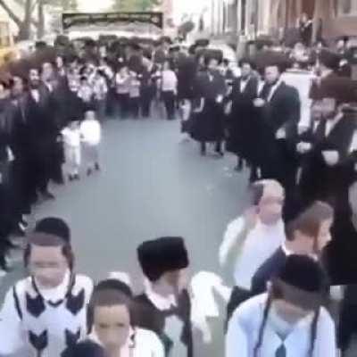 They got all the bitches 