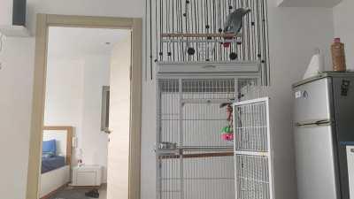 Took Me 2 Weeks To Teach Her This. Worth It!