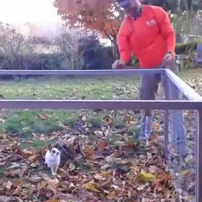 Bunny rabbit loves leaves