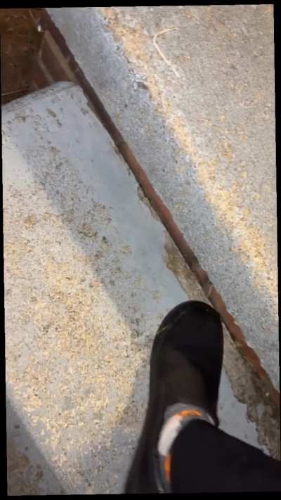 saw this slug on my porch…