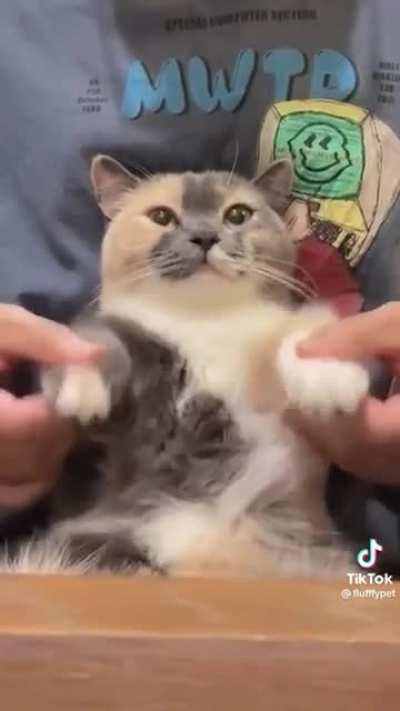 Dancer in the house!