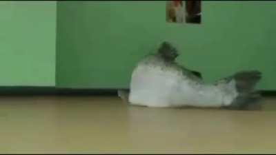 This shit hard asf feel free to screenshot