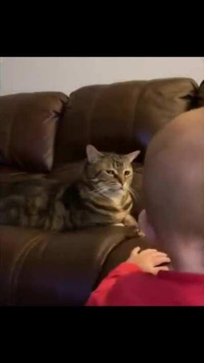 An interesting title