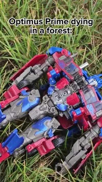 Autobots, Where the F*ck am I?