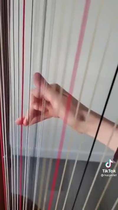 She is a good harp player