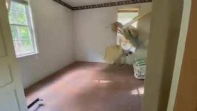 Classic humans! So silly haha