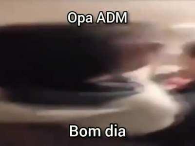 BOM DIA