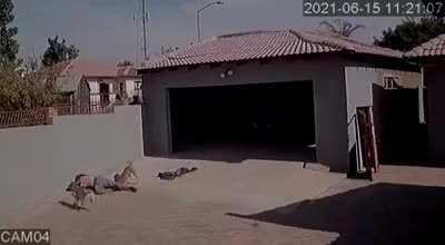 HMFT after justice is served