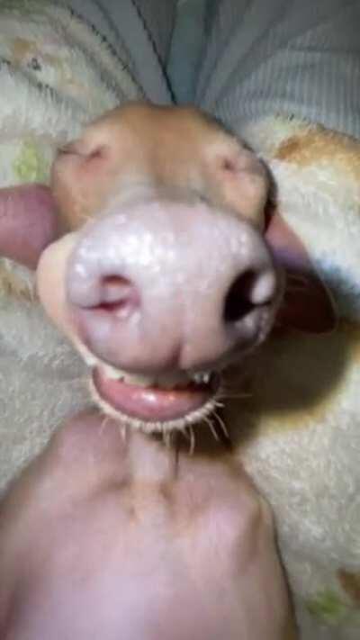 boa noite fml galera rapaziada durma