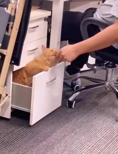 nothing strange, everything is as it should be