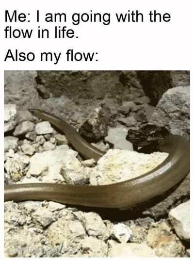 I hope there's no waterfall ahead.