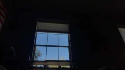 You look like you’ve had a rough day. Here’s a video of a bird slamming into my window.