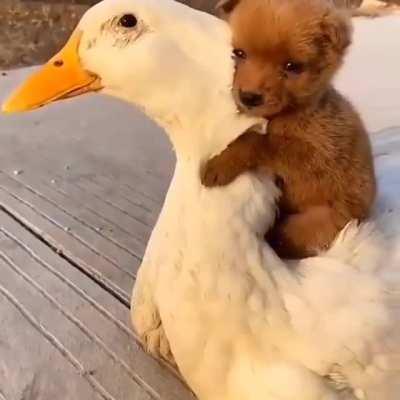 BEST Friends forever!