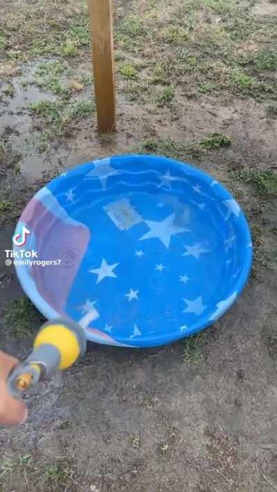 qual a entidade? 💗