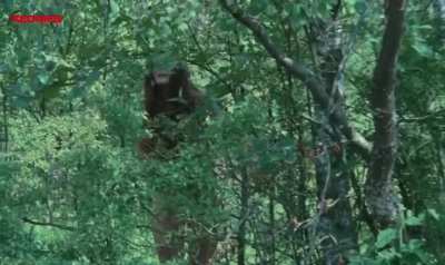 Patricia Mionnet - Seven Women for Satan (1976)