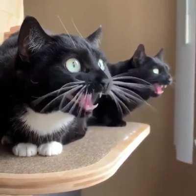 Morse code operators