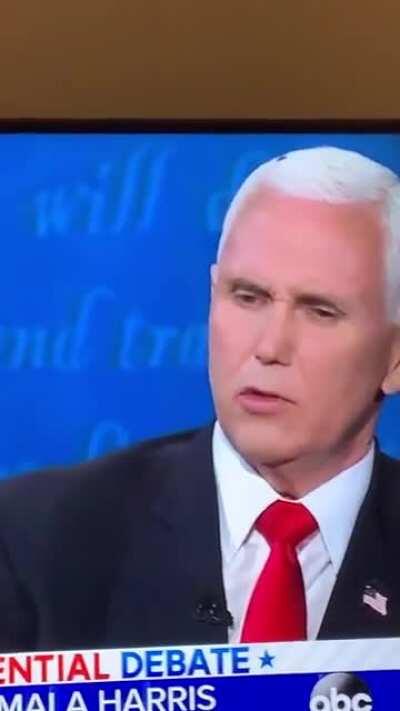 Mike Pence unknowingly has a fly on his head for an uncomfortably long time and doesn’t notice.
