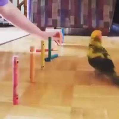 The booty of destruction