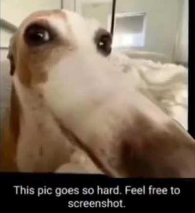 this video goes harddd