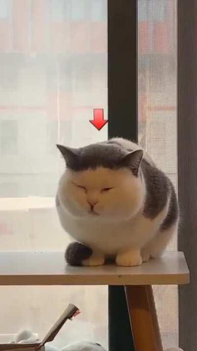 Oh lawd... He yawnin