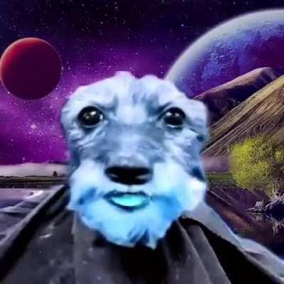 This vid is a transcendental experience 