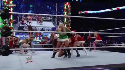 Aksana and Tamina fighting in the corner