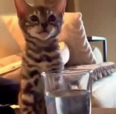 The birth of a homie