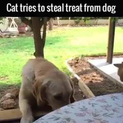 Great planning but poor execution....