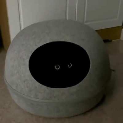 He who lurks in the darkness, the deep one.