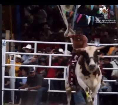 $GME hodlers be like...