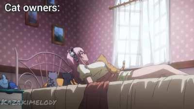 Cat VS dogs anime ver