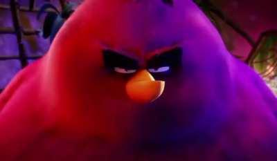 The teacher reading my essay on how to solve the obesity epidemic