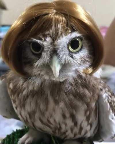 Yes, baby yes wait no.