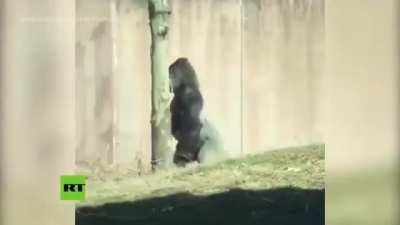 Buscando ILLOJUANES POR LA PLASA 😎🔥🔥