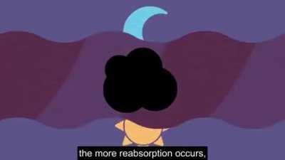 How poop-excreting mechanism works